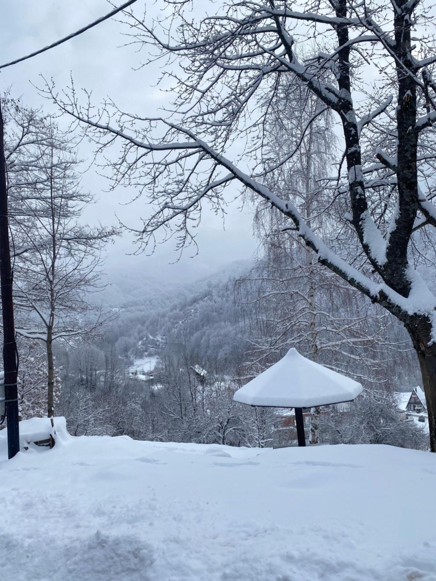 Kuca Za Odmor ,,Balkan” Crni Vrh Exterior foto