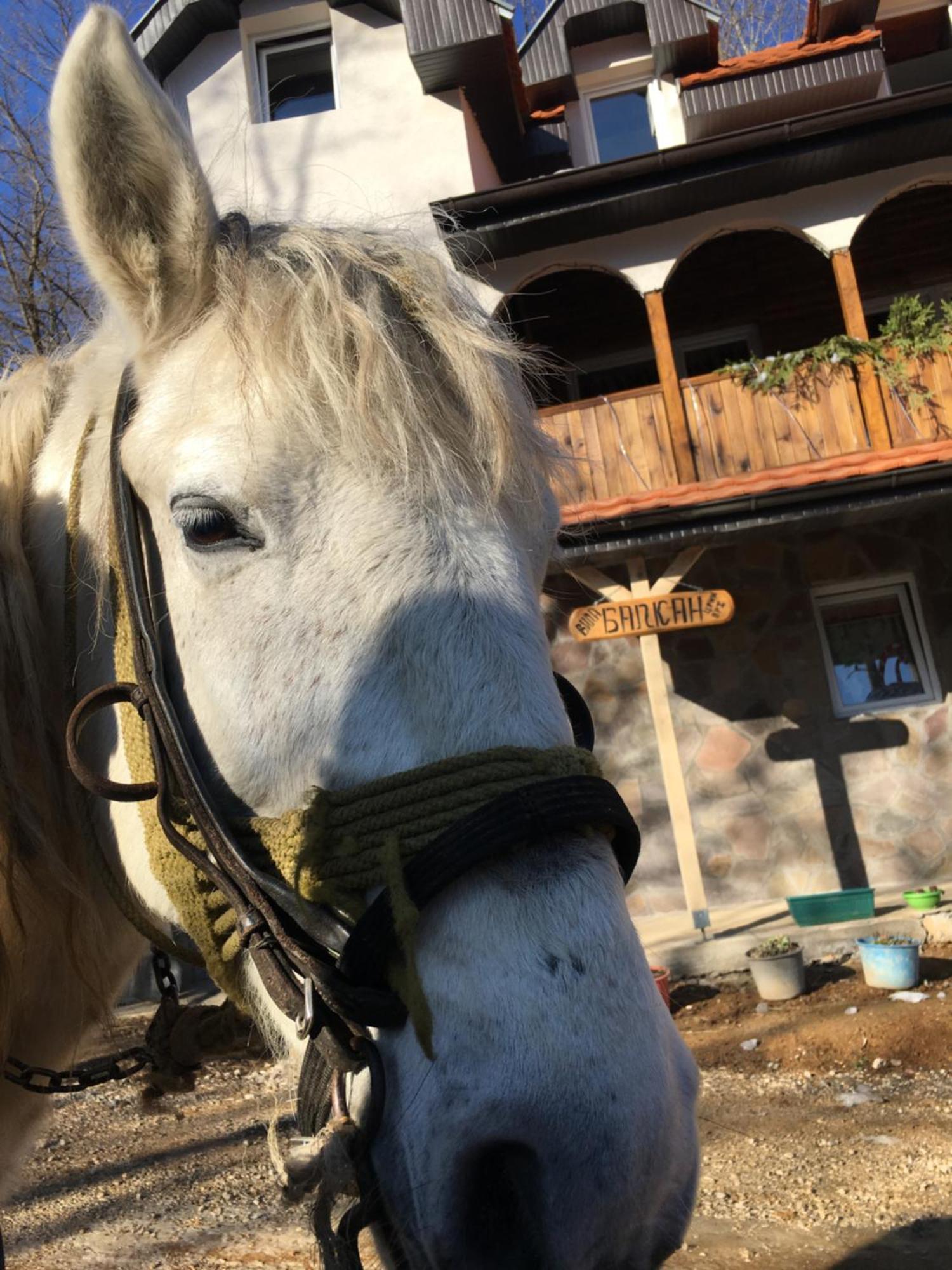 Kuca Za Odmor ,,Balkan” Crni Vrh Exterior foto